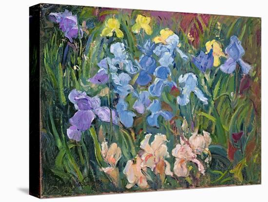 Irises: Pink, Blue and Gold, 1993-Timothy Easton-Premier Image Canvas
