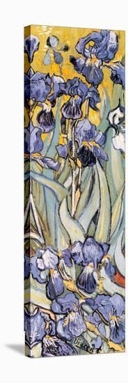 Irises, Saint-Remy, c.1889 (detail)-Vincent van Gogh-Stretched Canvas