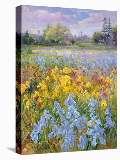 Irises, Willow and Fir Tree, 1993-Timothy Easton-Premier Image Canvas