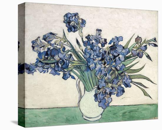 Irises-Vincent van Gogh-Stretched Canvas