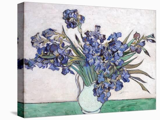 Irises-Vincent van Gogh-Premier Image Canvas