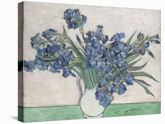 Irises-Vincent van Gogh-Stretched Canvas