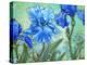 Irises-Maria Rytova-Premier Image Canvas