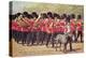 Irish Guards with Mascot-null-Stretched Canvas