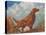 Irish Setter Pointing-null-Stretched Canvas