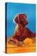 Irish Setter with Flowers-null-Stretched Canvas