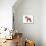 Irish Terrier-NaxArt-Stretched Canvas displayed on a wall