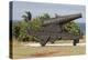 Iron cannon sitting on the outskirts of Castillo de la Real Fuerza on the western edge of Havana-Mallorie Ostrowitz-Premier Image Canvas