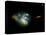 Irregular Galaxy NGC 7673-null-Premier Image Canvas