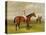 Isinglass', Winner of the 1893 Derby, 1893-Emil Adam-Premier Image Canvas