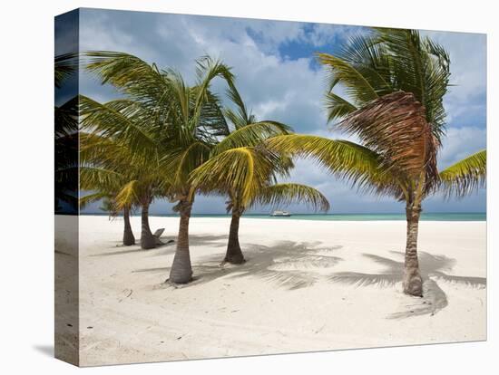 Isla Pasion (Passion Island) Off Isla De Cozumel, Cozumel, Mexico, North America-Michael DeFreitas-Premier Image Canvas