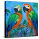 Island Birds Square I-Julie DeRice-Stretched Canvas