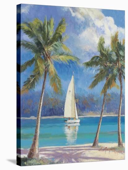 Island Breeze-Nenad Mirkovich-Stretched Canvas