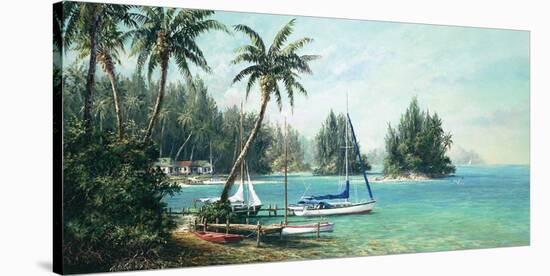 Island Cove-Art Fronckowiak-Stretched Canvas