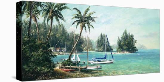 Island Cove-Art Fronckowiak-Stretched Canvas