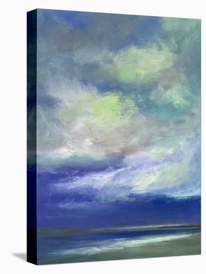 Island Dusk-Sheila Finch-Stretched Canvas