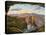 Island In The Sky - Canyonlands-Eduardo Camoes-Premier Image Canvas