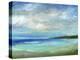 Island Inlet-Sheila Finch-Stretched Canvas