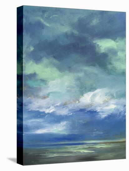 Island Morning-Sheila Finch-Stretched Canvas