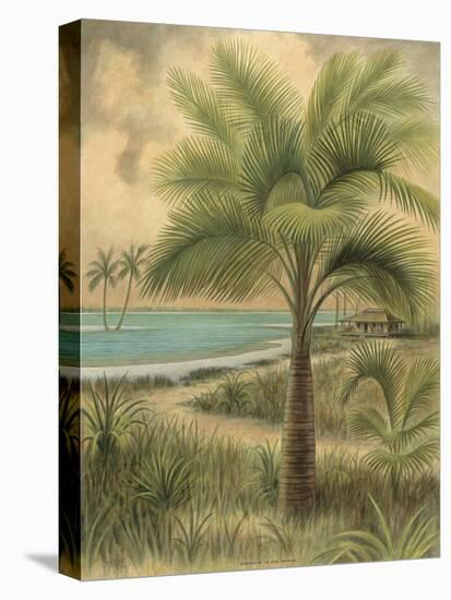 Island Palm II-Ron Jenkins-Stretched Canvas