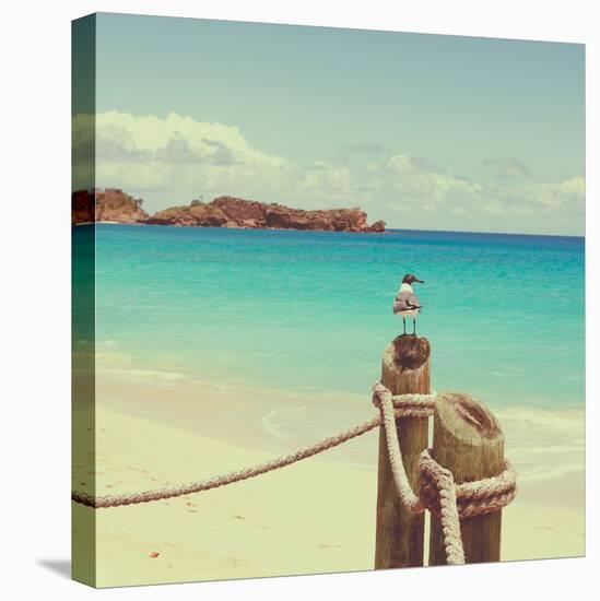 Island Vacation II-Susan Bryant-Premier Image Canvas