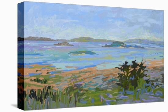 Islands Off the Mainland-Jane Schmidt-Stretched Canvas