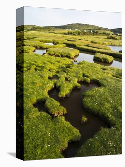 Isle of Harris, the Coastal Salt Marsh During Sunset. Scotland-Martin Zwick-Premier Image Canvas