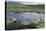 Isle of Lewis, European White Water Lily in Pond. Scotland-Martin Zwick-Premier Image Canvas