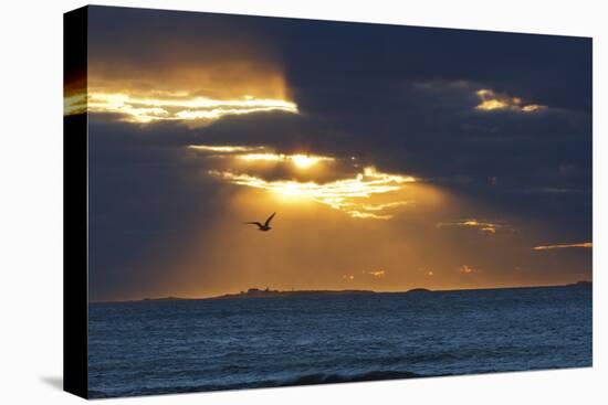 Isles of Shoals as Seen from Rye Harbor SP in Rye, New Hampshire-Jerry & Marcy Monkman-Premier Image Canvas