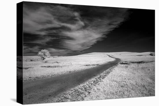 Isolated road in the Kansas Flint Hills-Michael Scheufler-Premier Image Canvas