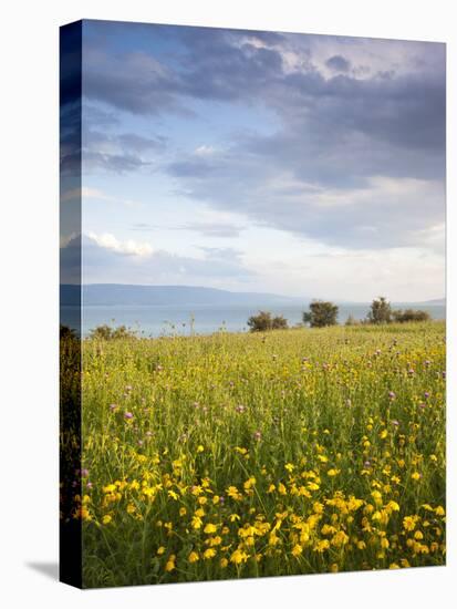 Israel, the Galilee, Tiberias, Sea of Galilee-Lake Tiberias-Walter Bibikow-Premier Image Canvas