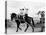 Israeli Children of Habad Sect, Frolic with Horse and Cart at Farm Village-Paul Schutzer-Premier Image Canvas