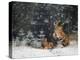 It is snowing-Michaela Firesova-Premier Image Canvas