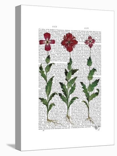 Italian Carnation 1-Fab Funky-Stretched Canvas