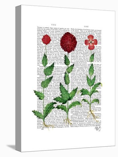 Italian Carnation 2-Fab Funky-Stretched Canvas