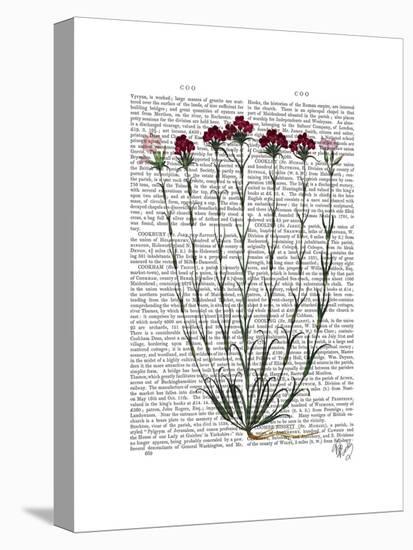Italian Carnation 4-Fab Funky-Stretched Canvas