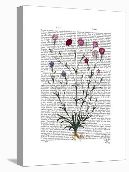 Italian Carnation 5-Fab Funky-Stretched Canvas