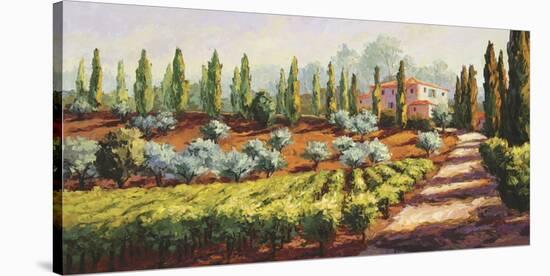 Italian Farmhouse-Erin Dertner-Stretched Canvas