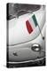 Italian Flag on Fiat 500 Car, Rome, Lazio, Italy, Europe-Stuart Black-Premier Image Canvas