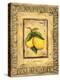 Italian Fruits Lemons-Marilyn Dunlap-Stretched Canvas