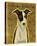 Italian Greyhound (Black & White)-John Golden-Stretched Canvas