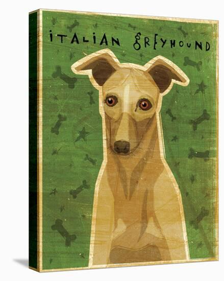 Italian Greyhound (Fawn)-John Golden-Stretched Canvas