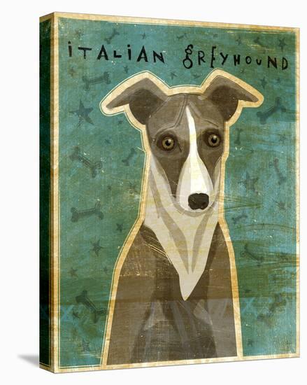Italian Greyhound (White & Grey)-John Golden-Stretched Canvas