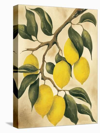 Italian Harvest, Lemons-Doris Allison-Stretched Canvas