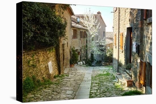 Italian Old Street . Tuscany-ZoomTeam-Premier Image Canvas