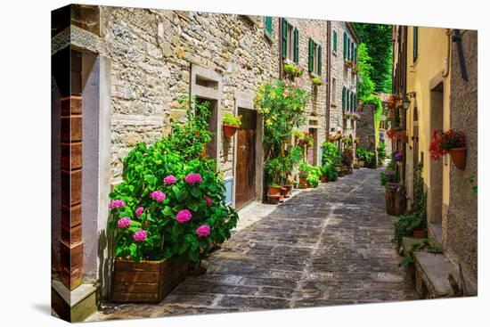 Italian Street in A Small Provincial Town of Tuscan-Alan64-Premier Image Canvas
