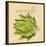 Italian Vegetable VIII-Vision Studio-Stretched Canvas