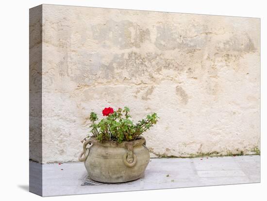 Italy, Basilicata, Matera. Potted plants outside the Sassi houses.-Julie Eggers-Premier Image Canvas