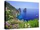 Italy, Campania, Napoli District, Capri, Faraglioni-Francesco Iacobelli-Premier Image Canvas