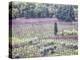 Italy, Montepulciano, Almond Grove in the Autumn Season-Terry Eggers-Premier Image Canvas